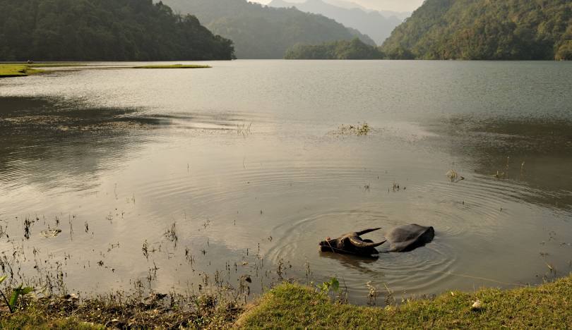 Bicycle Tour North Vietnam Thac Ba Lake, Ba Be National Park 4 Days